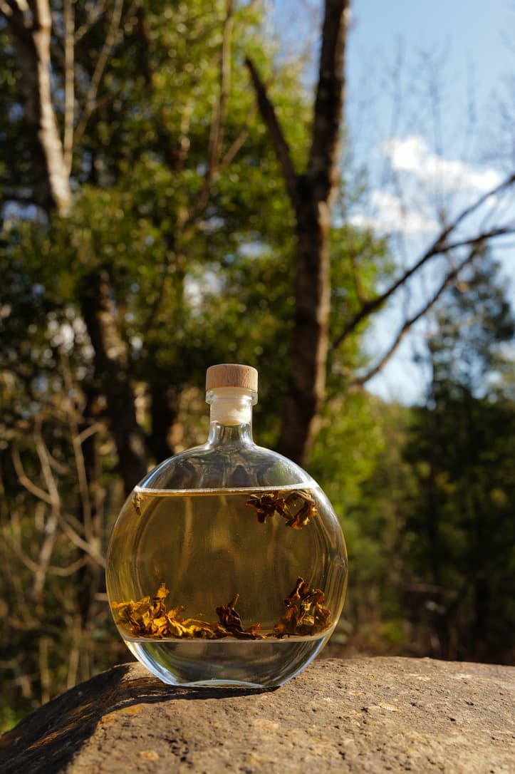A round glass bottle of cold-brew tea with whole leaves inside, on a rock in the forest