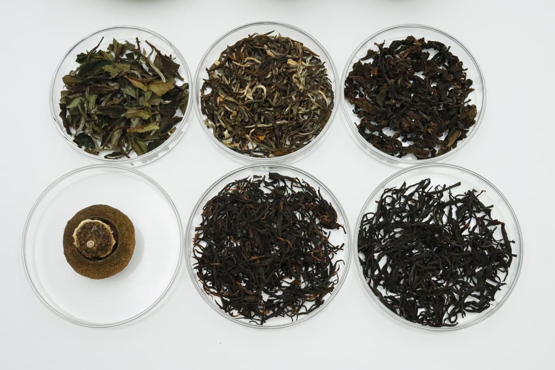 Six dishes of loose-leaf Chinese tea, including white, oolong and black varieties